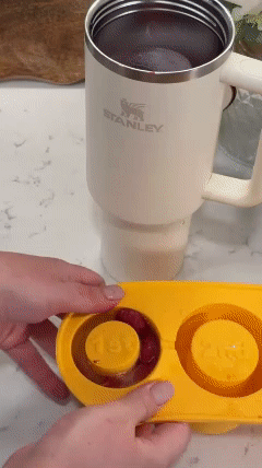 🚨OFERTA🚨 MOLDE DE HIELO PARA TERMO TIPO STANLEY - Paga 1 y llévate 2