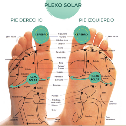 Masajeador Eléctrico Pies Multifunc